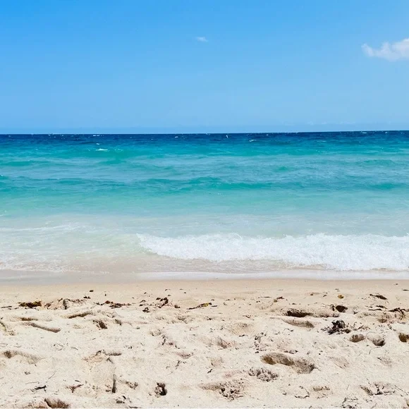 … - Picture 12 of 16